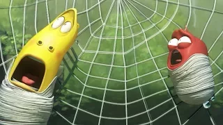 LARVA - SPIDER TRAP | Cartoons | Comics | Larva Cartoon | Mini cartoon Movie | LARVA Official