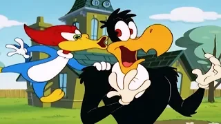 Woody Woodpecker Show | Super Woody | 1 Hour Compilation | Cartoons For Children