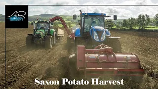 Saxon Potato harvesting with the Grimme potato kit 4k