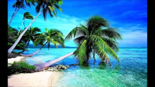 DJ Radi Hawer - Islands Palm Trees [Dan Balan - Freedom Radio Video Edit]