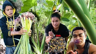 PICK AND COOK GINATAANG "LAING(TARO STEM) WITH SNAILS(SUSONG PALIPIT) | BINOY TV