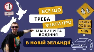 Все що треба знати про машини та водіння в Новій Зеландії. New Zealand