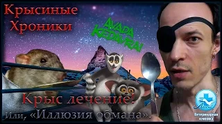 Крысы | Крыс лечение - "Иллюзия обмана". (Fancy Rats)