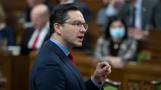 Does the government have a plan to combat climate change? | Poilievre and Freeland exchange