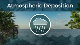 Water Quality: ATMOSPHERIC DEPOSITION | Indian River Lagoon Vital Signs