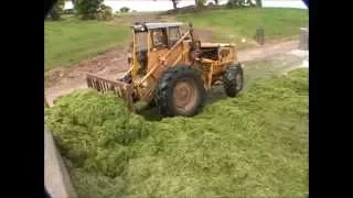 Volvo BM LM 841 pushing up silage