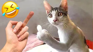 Funniest Animals 😄 New Funny Cats and Dogs Videos 😹🐶 2024 Part 18