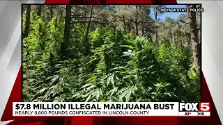 Nevada State Police busts illegal marijuana grow site worth $7.8M