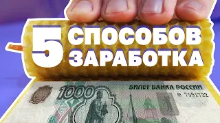 5 СПОСОБОВ ЗАРАБОТАТЬ на чем УГОДНО! Как заработать ШКОЛЬНИКУ и СТУДЕНТУ?