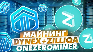 МАЙНИНГ DYNEX+ZILLIQA | DNX+ZIL | НАСТРОЙКА ONEZEROMINER В HIVEOS RAVEOS И WINDOWS