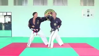 Maestro Guido Nicoli - Tecniche dimostrative di Ju Jitsu