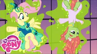 My Little Pony: Arkadaşlık Sihirlidir - Sezon 5 Bölüm 7 ( Discord Dışında Herkes )