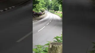 Isle of Man TT 2018 K tree