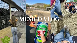 MEXICO VLOG: my last week in mexico 😪 *desmadre everydayy