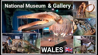 National Museum and Gallery | Cardiff Wales 🏴󠁧󠁢󠁷󠁬󠁳󠁿