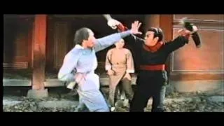 STRANGER FROM SHAOLIN - LETTERBOX - ENGLISH DUBBED