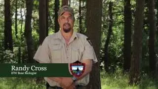 Randy Cross, Bear Biologist, discusses Bear Season and why IFW is opposed to the bear referendum