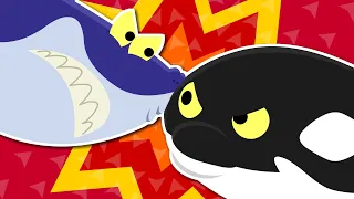 👑 King of the Sea |  Shark VS  Killer Whale💥 | Sea Animal Song | Nursery Rhymes for Kids★ TidiKids