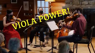 Viola King Nails Dvorak American Quartet Viola Solos