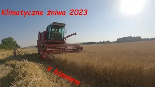 😎KLIMATYCZNE ŻNIWA 2023 Z ❤BIZONEM❤😎🔥 New Holland t6050 w odwozie🔥, CZYLI ŻNIWA W ✔Gr Witucki✔