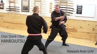 Hanbojutsu Strike Kata