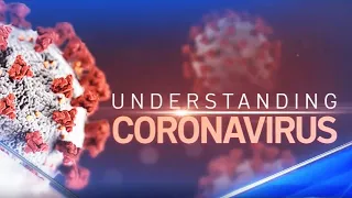 Understanding Coronavirus: Everything You Need to Know