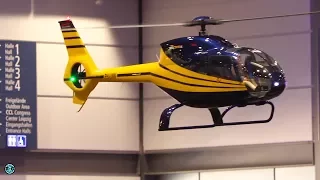 Airbus Eurocopter EC120 Colibri - RC Helicopter indoor flight demonstration