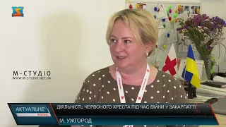 Інтервʼю Іванни Сабо про діяльність Червоного Хреста України на Закарпатті