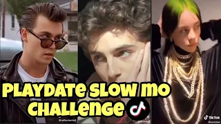 I Guess I’m Just a Play Date To You - Timothée Chalamet Slow Mo Challenge (celebrity edition)