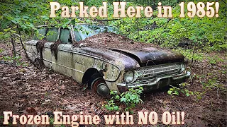 Parked in the Woods 38 Years Ago! Will this Ford Falcon Run Again?! Stuck Engine with no OIL!