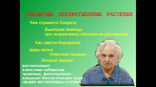 Известная сибирская травница Лидия Сурина о ядовитых лекарственных растениях