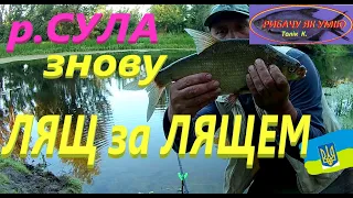 #СУЛА #Жор ЛЯЩА продовжуєтся #РибачуЯкУмію