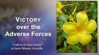 Victory over the Adverse Forces  |  TE 565  |  Dr Alok Pandey