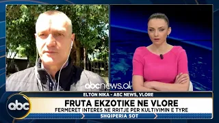 Fruta ekzotike në Vlorë/ Fermerët interes në rritje për kultivimin e tyre