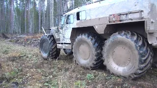 Поездка в лес на вездеходе Хищник.Птица. Рыбалка.Шулюм.