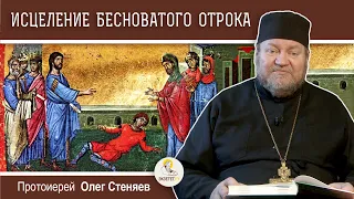 Исцеление бесноватого отрока. Протоиерей Олег Стеняев. Воскресное Евангелие