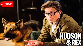 Hudson & Rex 2024 - Season 1 Ep. 7 - Hudson & Rex Full Episode