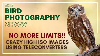 NO more LIMITS! Great Images Using Crazy HIGH ISO & Teleconverters? Is The Impossible Possible Now?