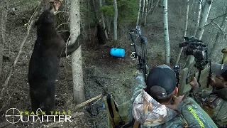 Best Bear Hunt with a Bow - 518Lb Canadian Giant- Crosstrail's Adventures