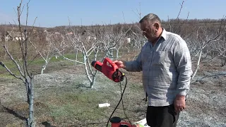 Обработка персика Бурдак А В