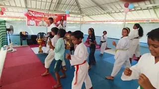 Ryukyu Shito Ryu Karate Academy Kothamangalam (9846198407)