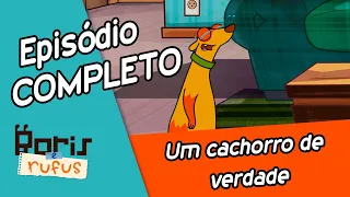 [EPISÓDIO COMPLETO] Boris e Rufus - Um Cachorro de Verdade