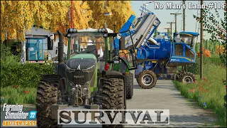 Survival in No Man's Land Ep.114🔹Harvesting Grapes. Sowing Oilseed Radish🔹Farming Simulator 22