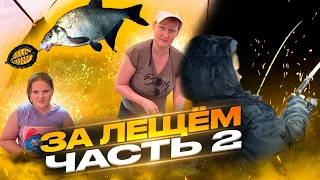 Рыба клюёт ночью,Рыбалка на донки,с Семьёй на реке ,Часть 2. Сamping ,fishing,bushcraft,nature.