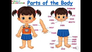 Parts of the body I Body parts I Parts of Body  for kids I Learn Parts of our body in English