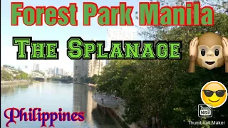 World Class Forest Park Manila-Pride of Manilla Philippines-Forest Park of Manila Philippines