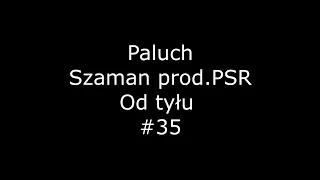 Paluch - SZAMAN prod. PSR (od tyłu) #36