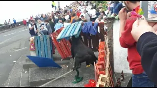 TOURADA RUA LONGA BISCOITOS HF ER JAF RB