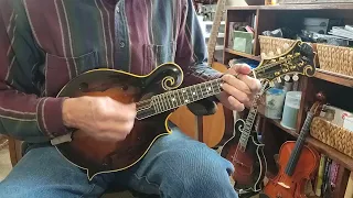 Trail of Tears - Dave Herzog - Mandolin