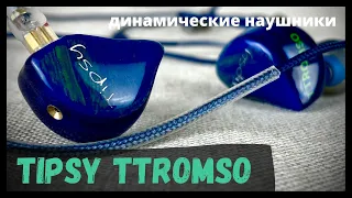 Обзор динамических наушников Tipsy TTromso - Сосны, скалы и море